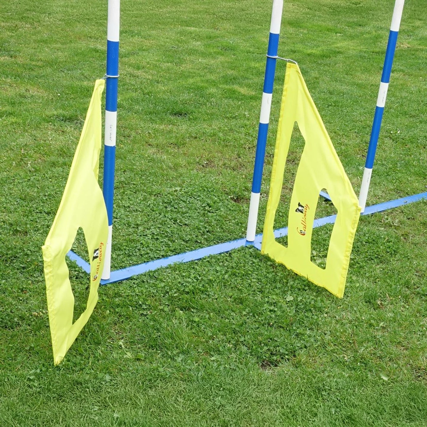 Hundetraining mit Callieway Agility Slalom Trainingshilfe
