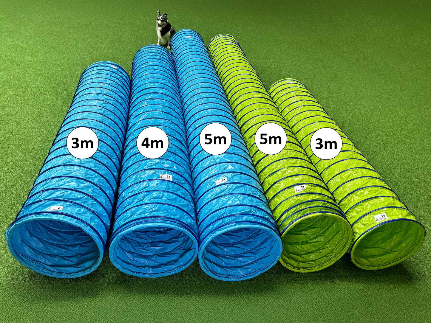 Mehrere Callieway SmartGrip Agility Tunnel in Blau für Hundetraining