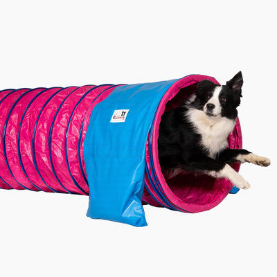 Hund läuft durch Callieway SmartGrip Profi Agility Tunnel Fuchsia