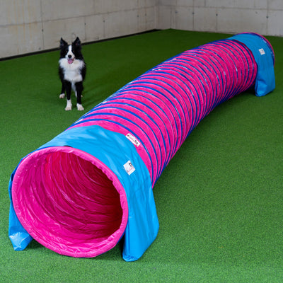 Aufgebauter Callieway SmartGrip Profi Tunnel Fuchsia im Training