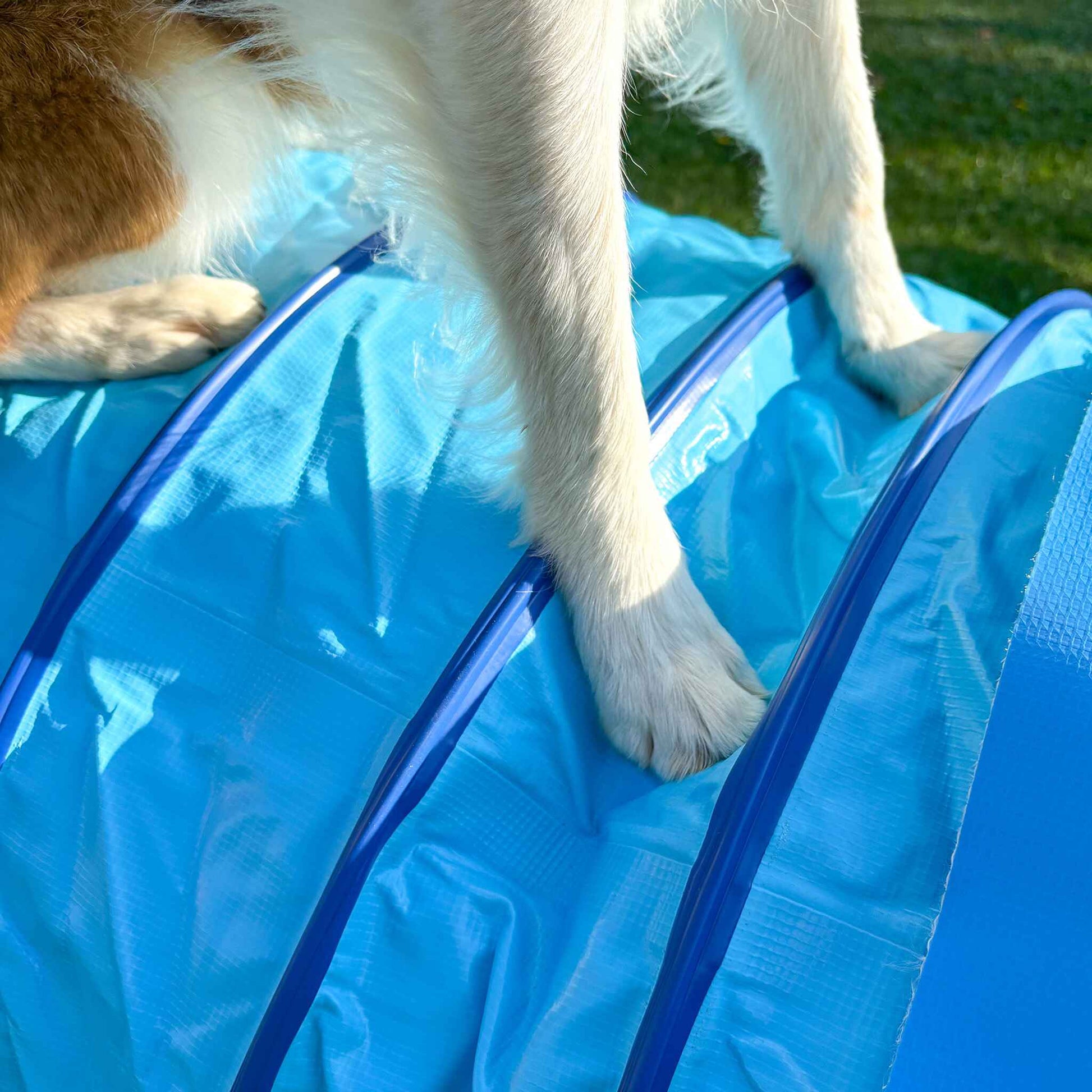 Detailaufnahme des Callieway SmartGrip Profi Tunnels Cyan