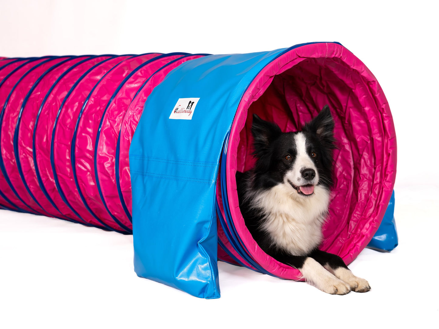 Eingang des Callieway SmartGrip Profi Tunnels Fuchsia