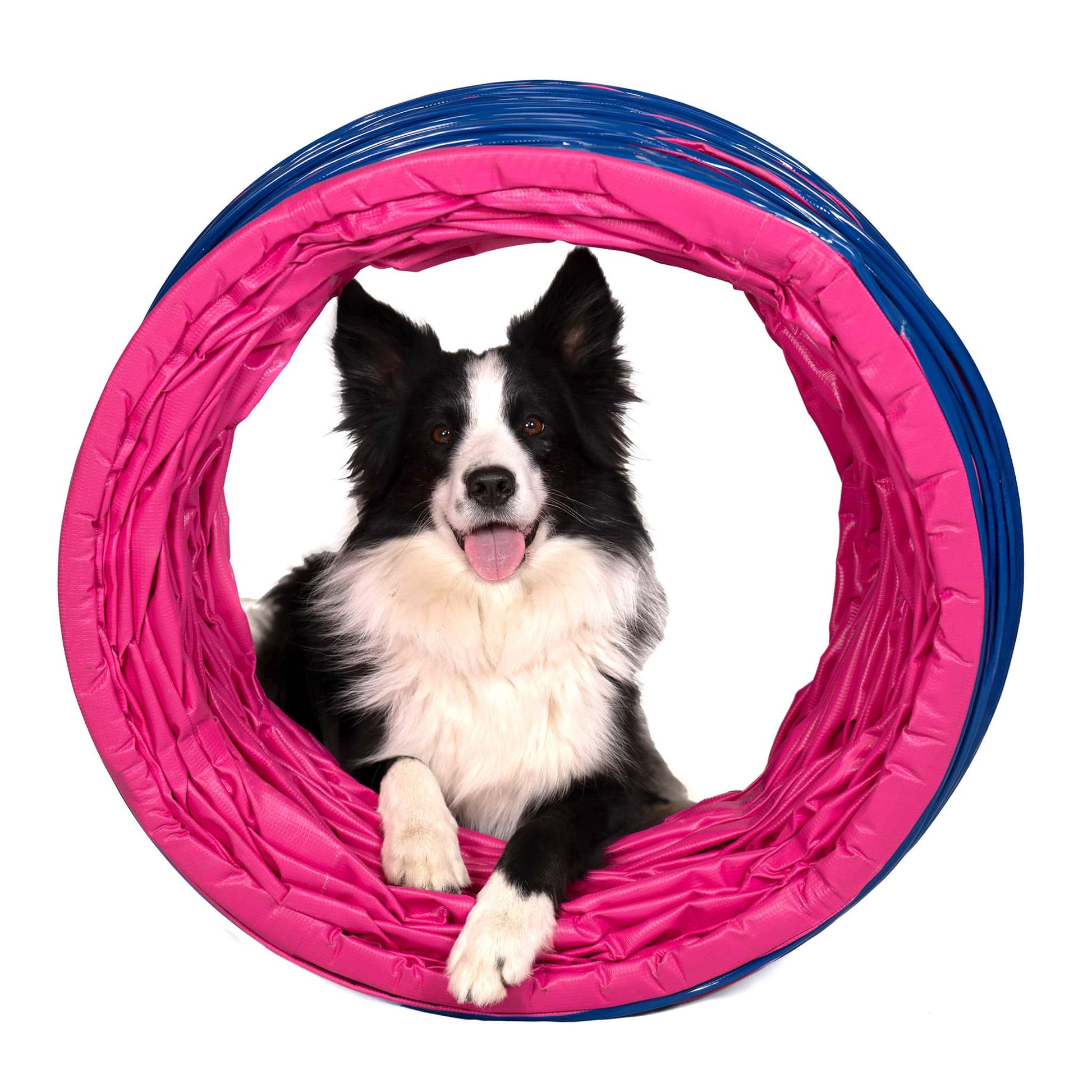 Frontansicht des Callieway SmartGrip Profi Agility Tunnels Fuchsia