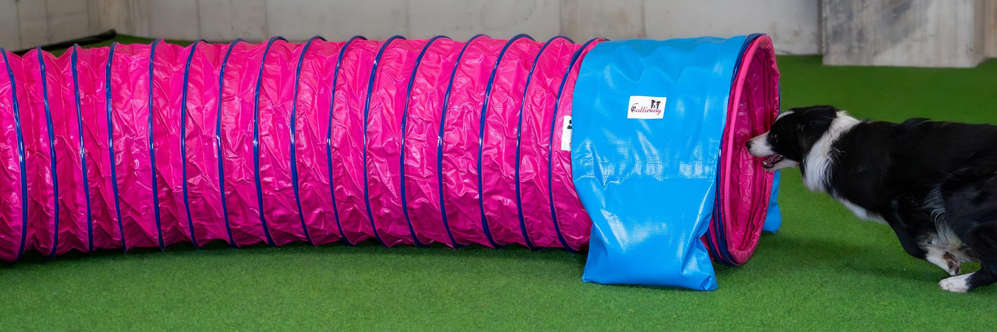 Callieway SmartGrip Profi Agility Tunnel Fuchsia im Parcours
