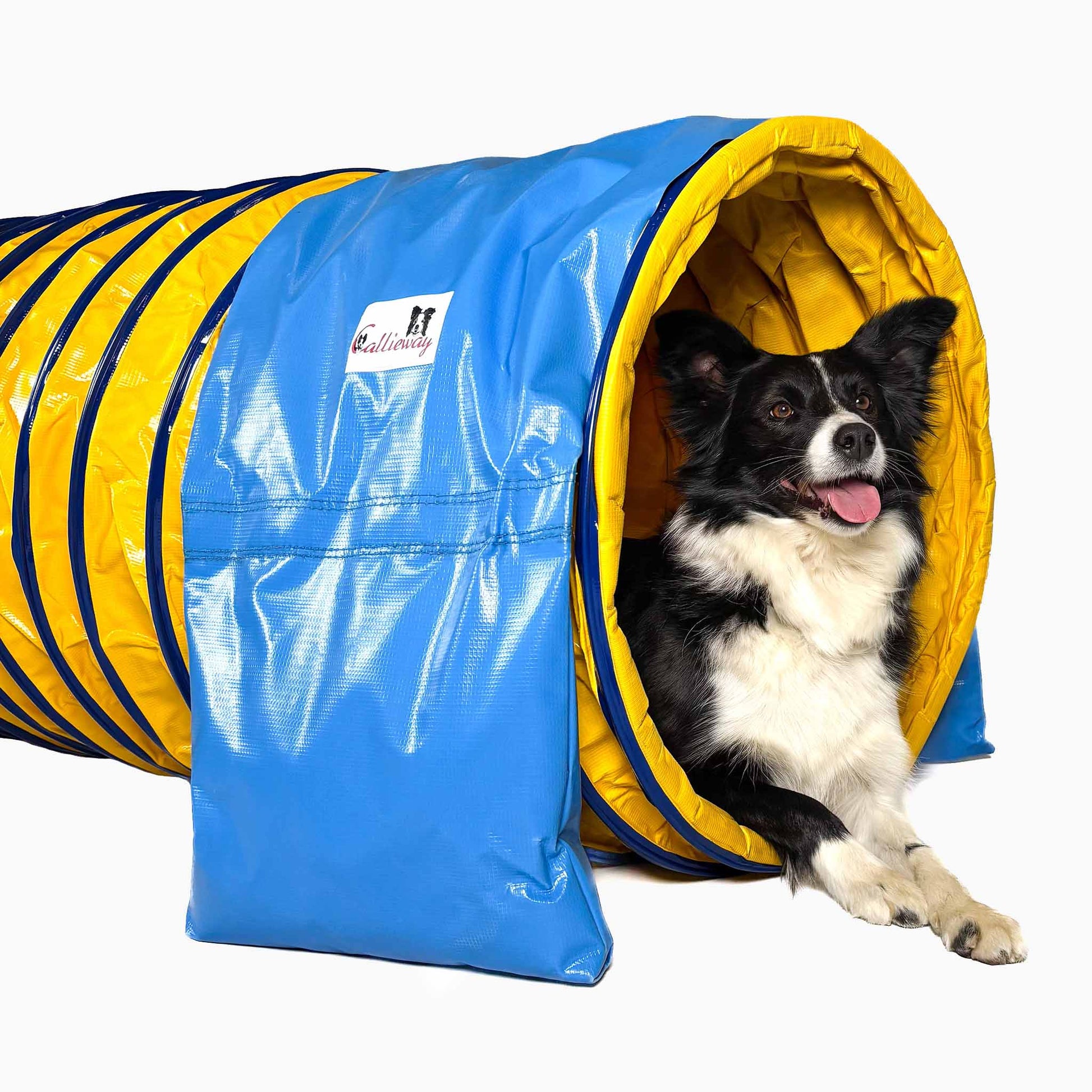 Aufgebauter Callieway SmartGrip Profi Agility Tunnel Gelb