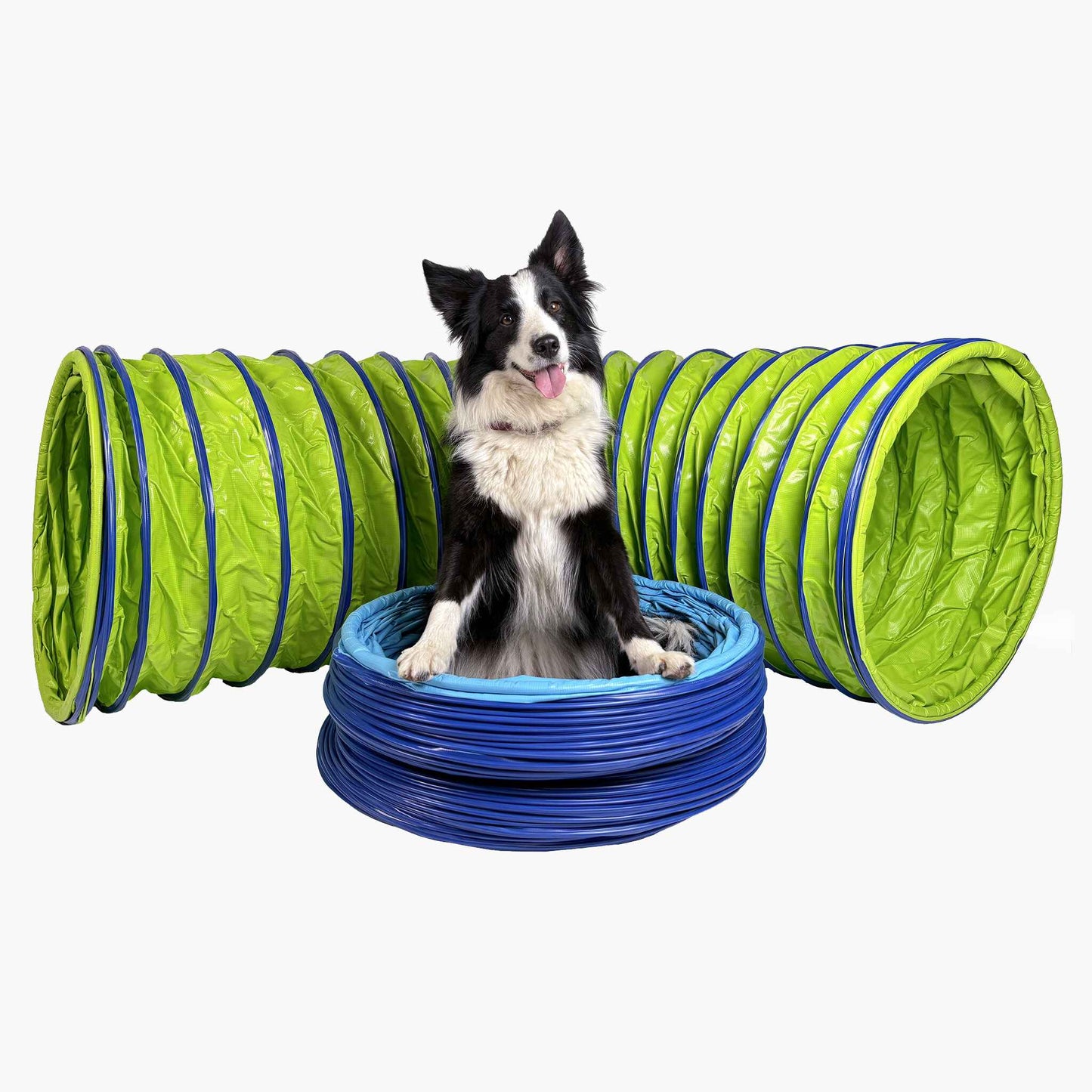 Hund sitzt im Callieway SmartGrip Profi Agility Tunnel Lime