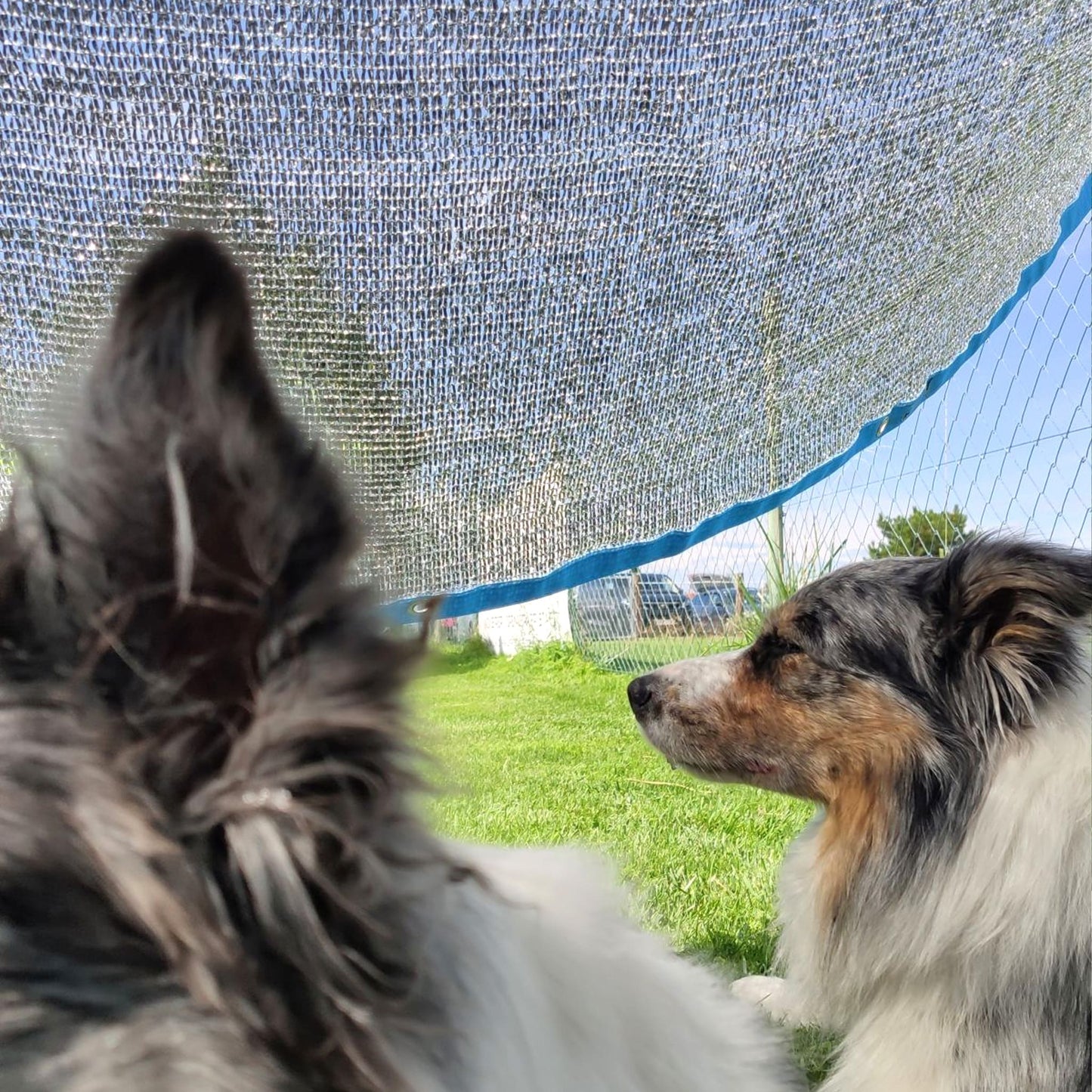 Detailaufnahme des Callieway UV Sonnenschutz Materials