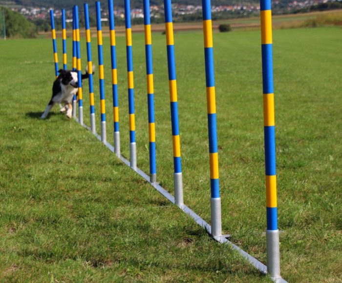 Callieway Trichter Slalom Trainingssystem für Agility Hundesport