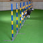 Callieway Agility Trichterslalom beim Slalom Training im Hundesport