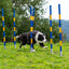 Callieway Trichterslalom slalom set up alongside an agility tunnel