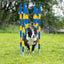 Border Collie running through Callieway Trichterslalom funnel poles