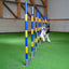 Callieway Agility Trichterslalom im Hundesport Parcours
