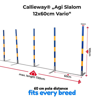 Callieway Agi Slalom 12x60 Vario 60 cm pole distance size manual dimensions