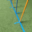Callieway Trophy Agility Slalomstangen im Hundesport Training