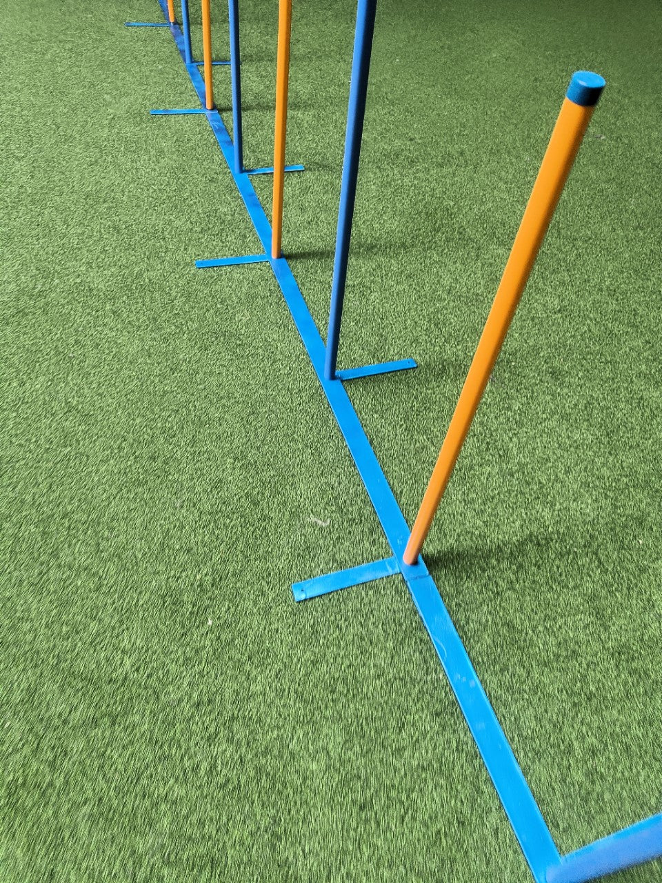 Callieway Trophy Agility Slalomstangen im Hundesport Training