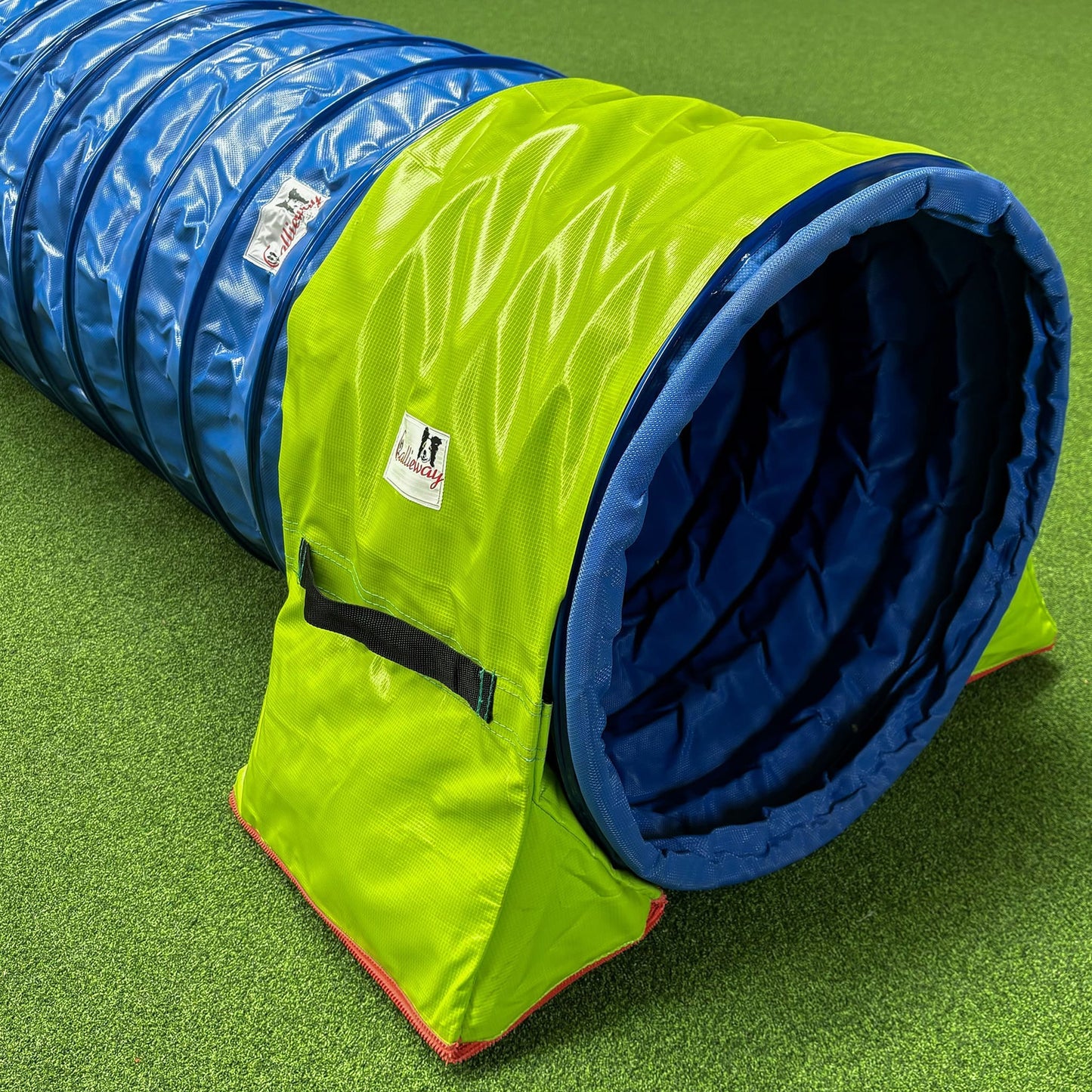 Callieway Premium Tunnelsack Lime fixiert einen Agility Tunnel