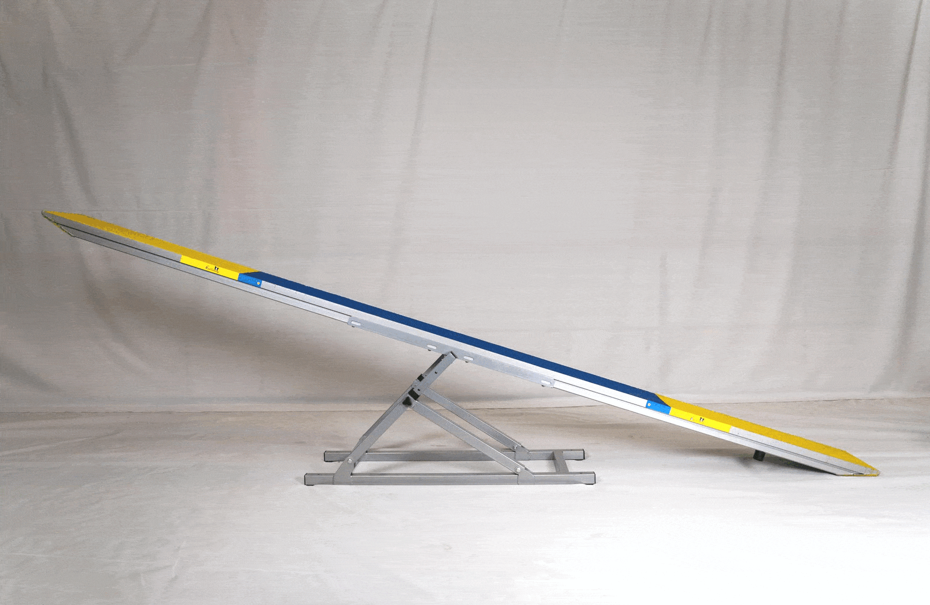 Callieway Agility Hundewippe im Training in Halle