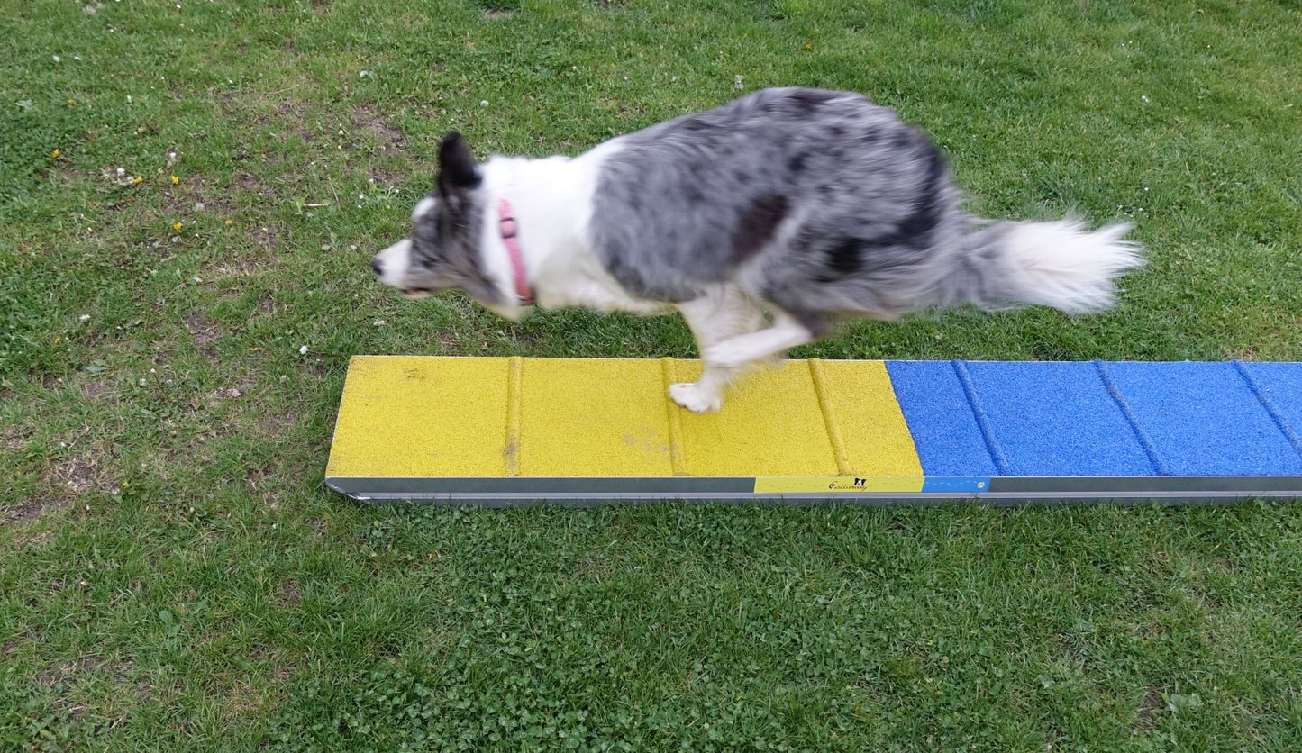 Detailansicht des Callieway Agility Zonenboards mit rutschfester Trainingsoberfläche