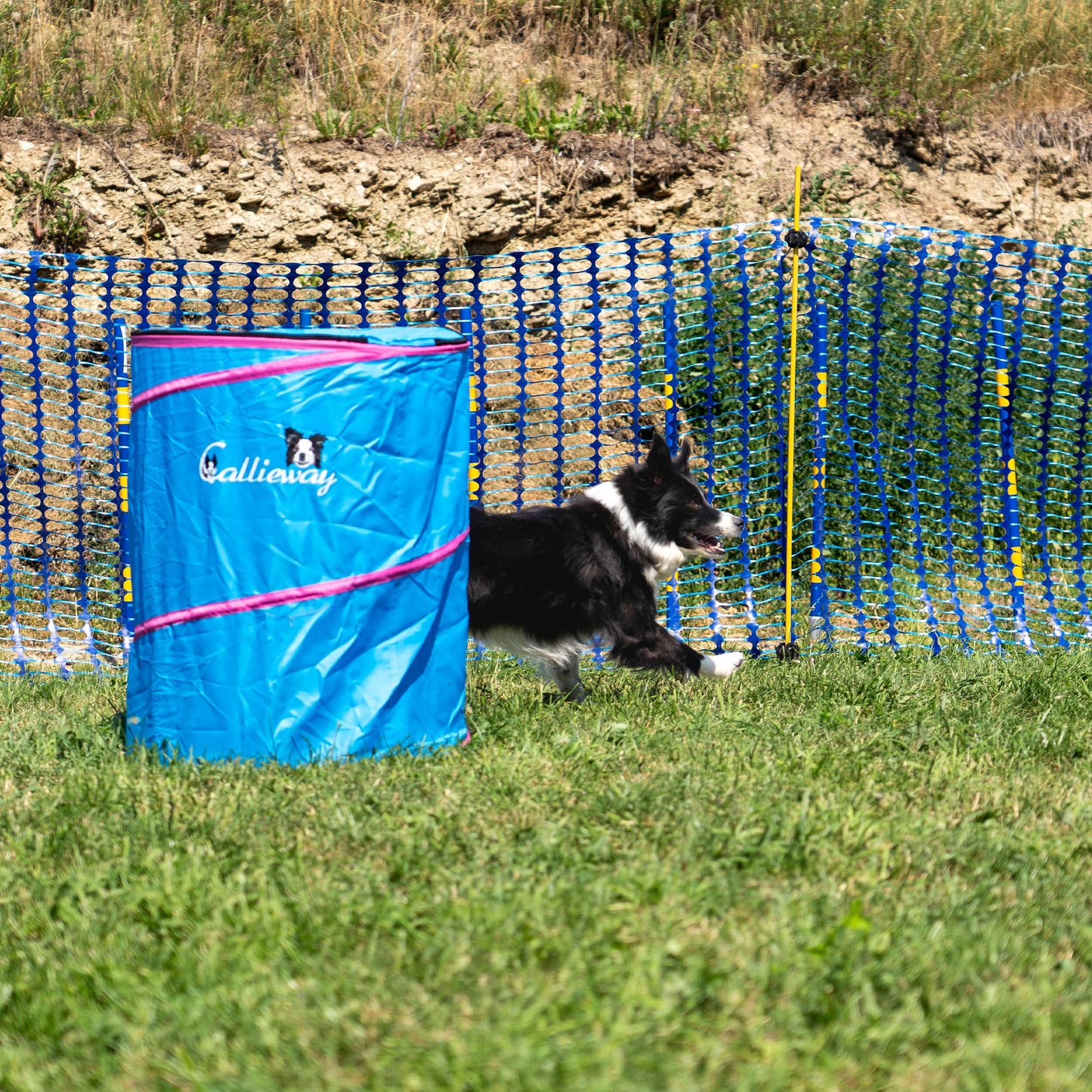 Callieway® Agility Fun Hürde blaues Fass Hindernis Hund Agility outdoor