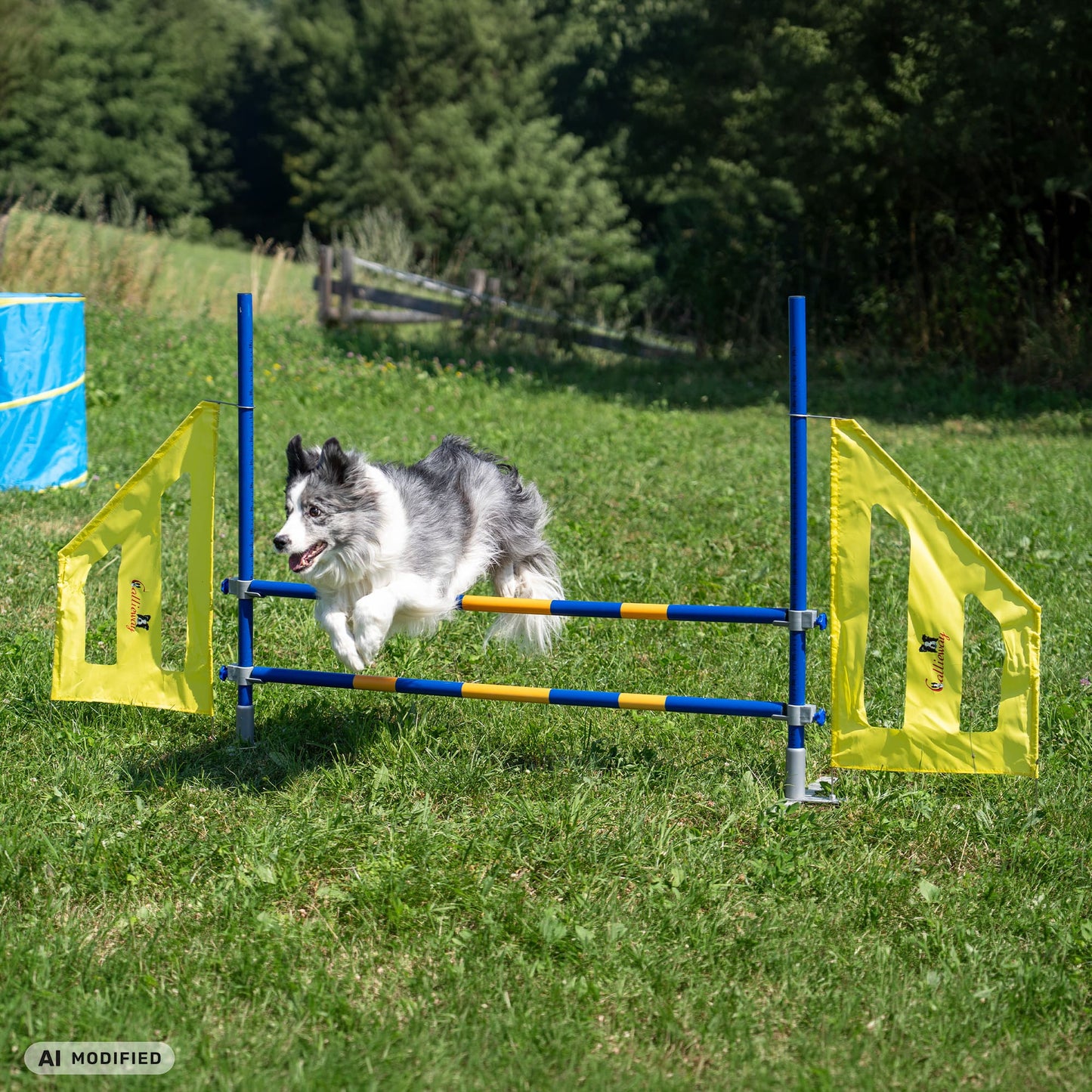 Callieway® Agility Fun Hürde Hund Volllauf Sprung Training outdoor Gras