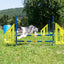Callieway® Agility Fun Hürde Hund mitten im Sprung Seitenansicht outdoor Training