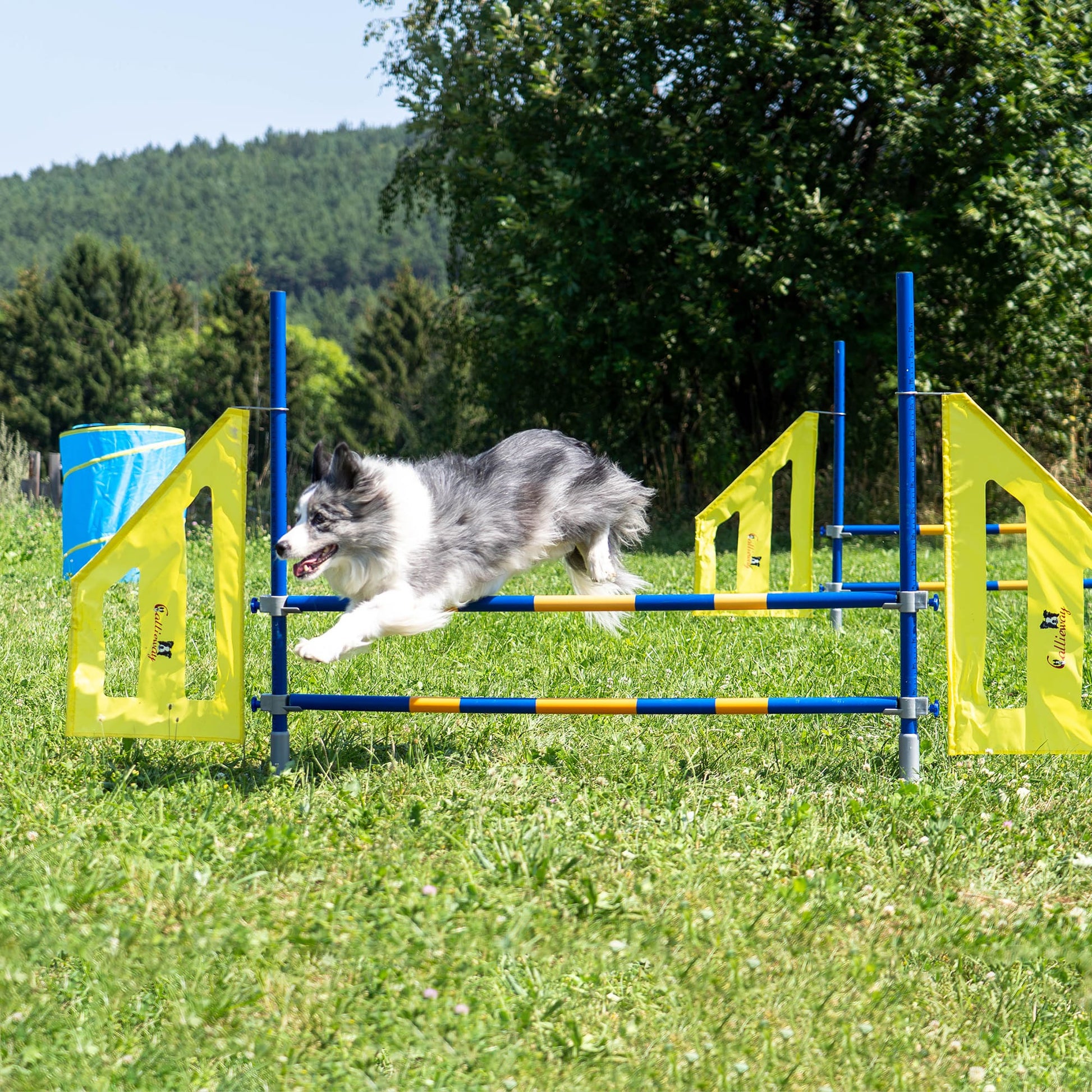 Callieway® Agility Fun Hürde Hund mitten im Sprung Seitenansicht outdoor Training