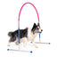 Callieway® Agility Hoopers cerchio rosa cane si avvicina all'ostacolo lateralmente
