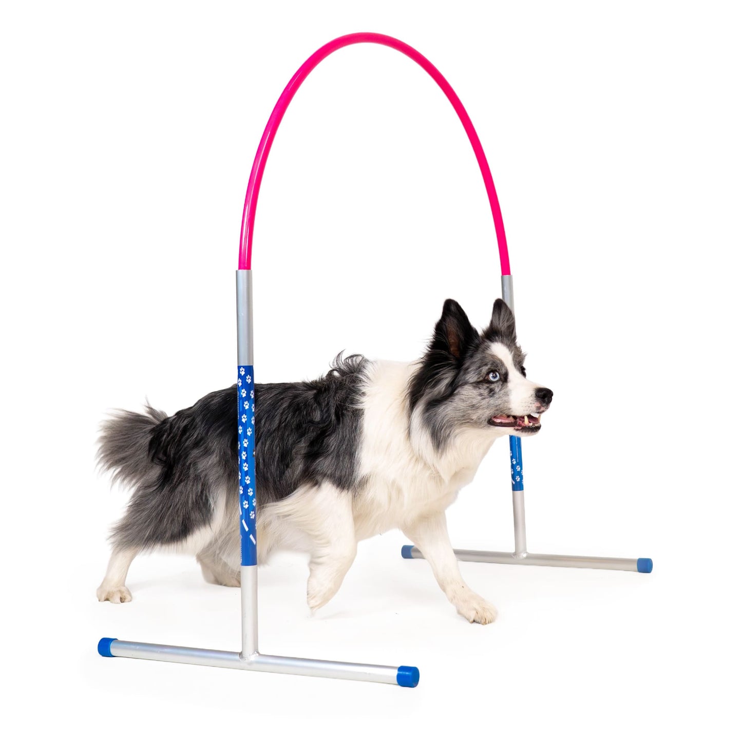 Callieway® Agility Hoopers cerchio rosa cane si avvicina all'ostacolo lateralmente