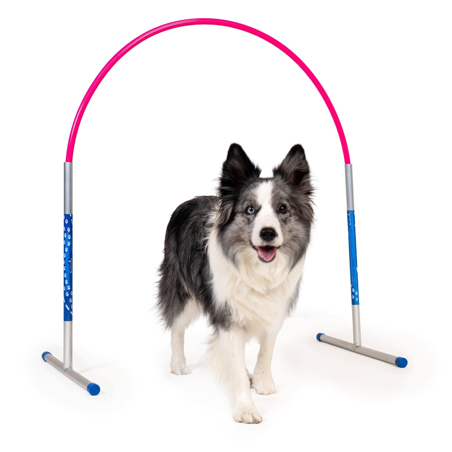 Callieway® Agility Hoopers cerchio rosa cane azione corpo intero outdoor