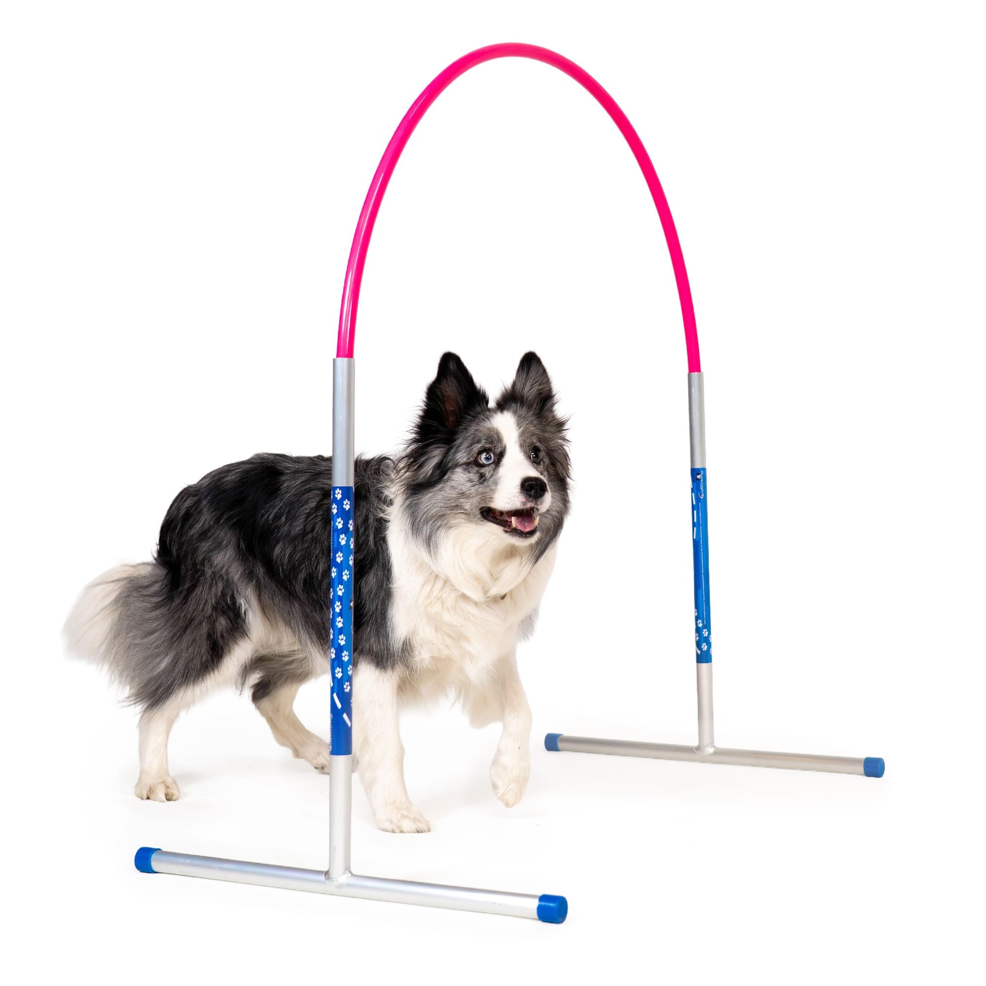 Callieway® Agility Hoopers cerchio rosa per cani a tutto tondo