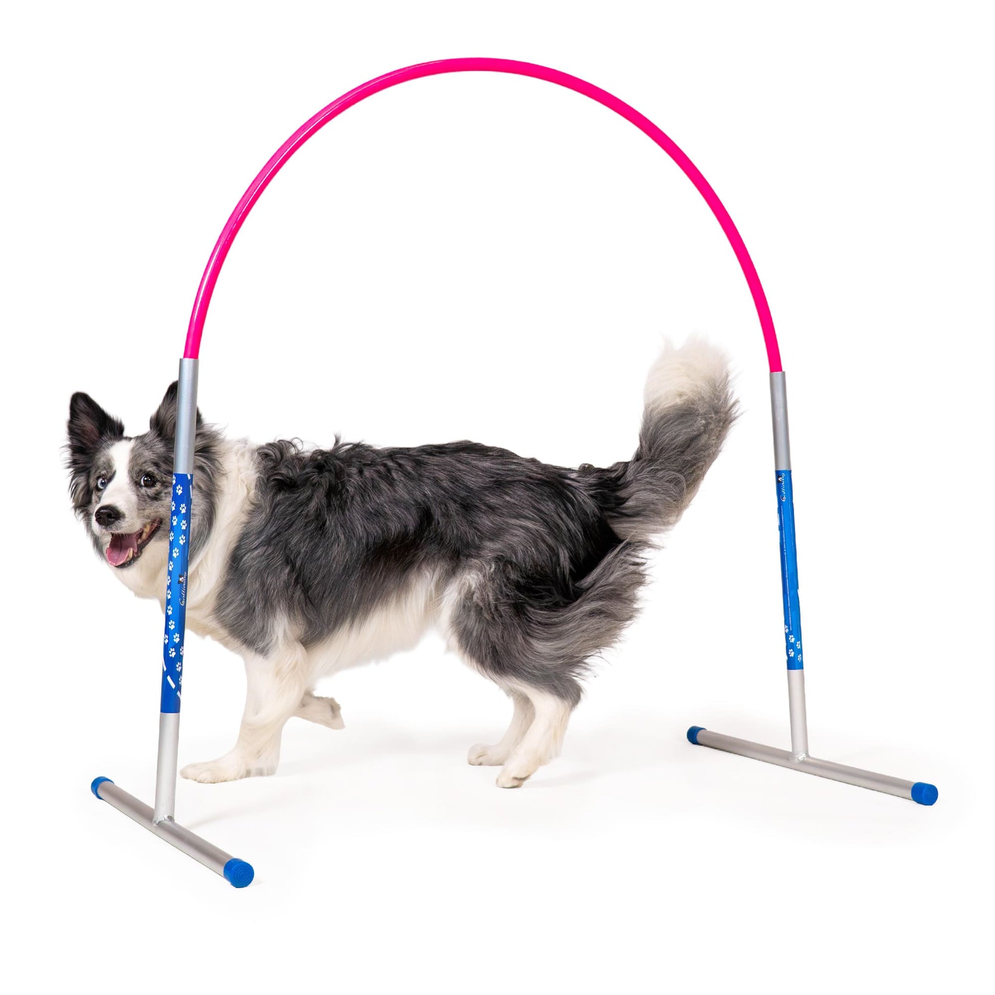 Callieway® Agility Hoopers cerchio rosa cane profilo laterale offerta