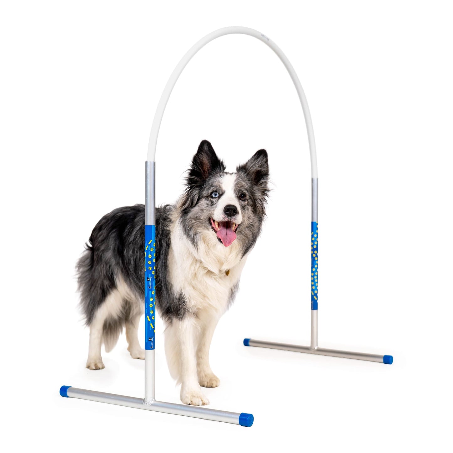 Callieway® Agility Hoopers cerchio bianco cane percorso vista laterale