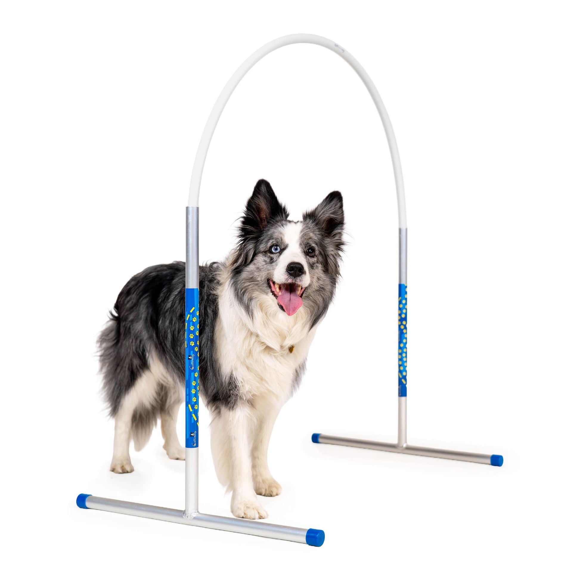 Callieway® Agility Hoopers cerchio bianco cane percorso vista laterale