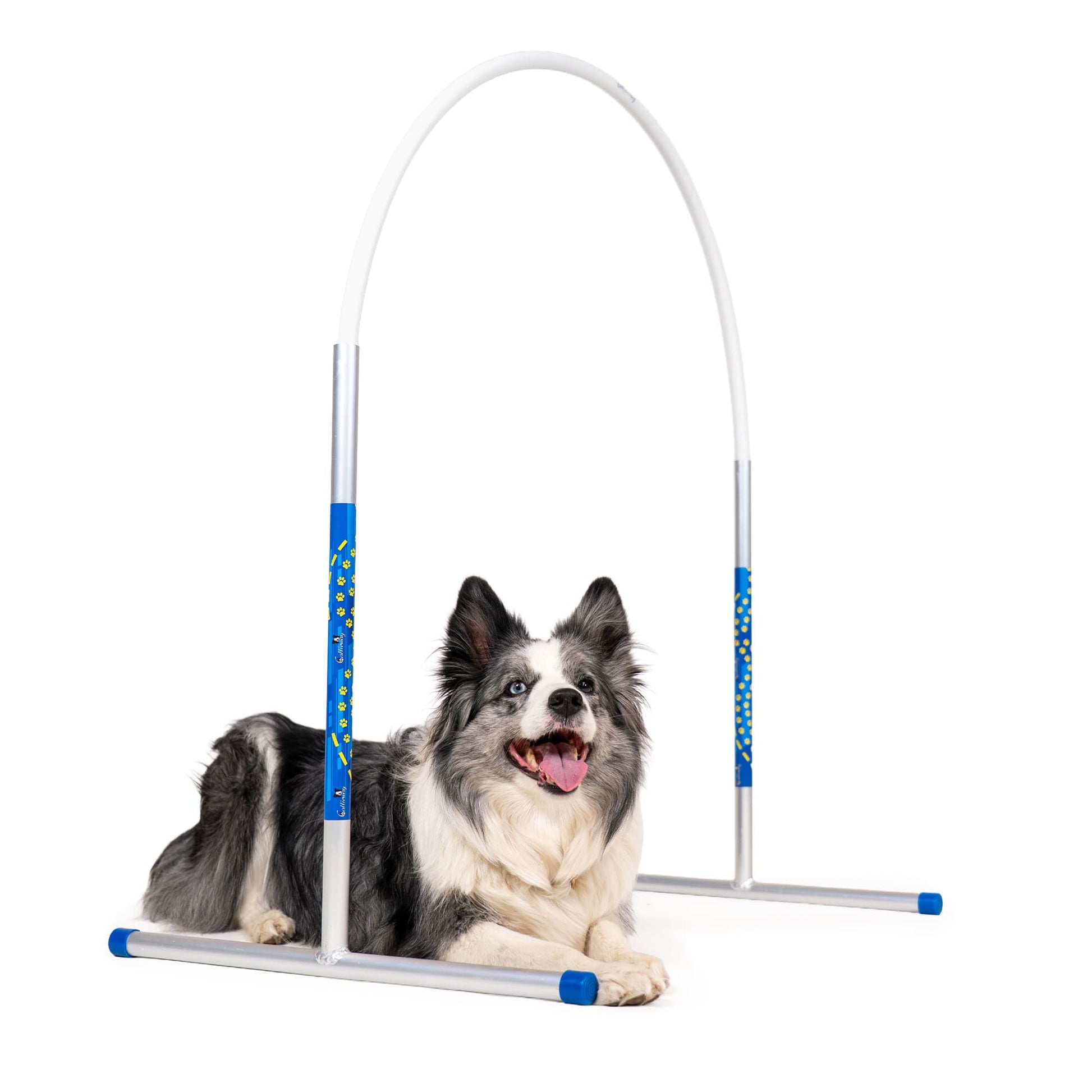Callieway® Agility Hoopers cerchio bianco Addestramento canino outdoor