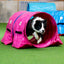 60cmØ Hoopers Agility Tunnel “Profi”– orig. Callieway / Tunnel für Hoopers Hundesport "Profi"