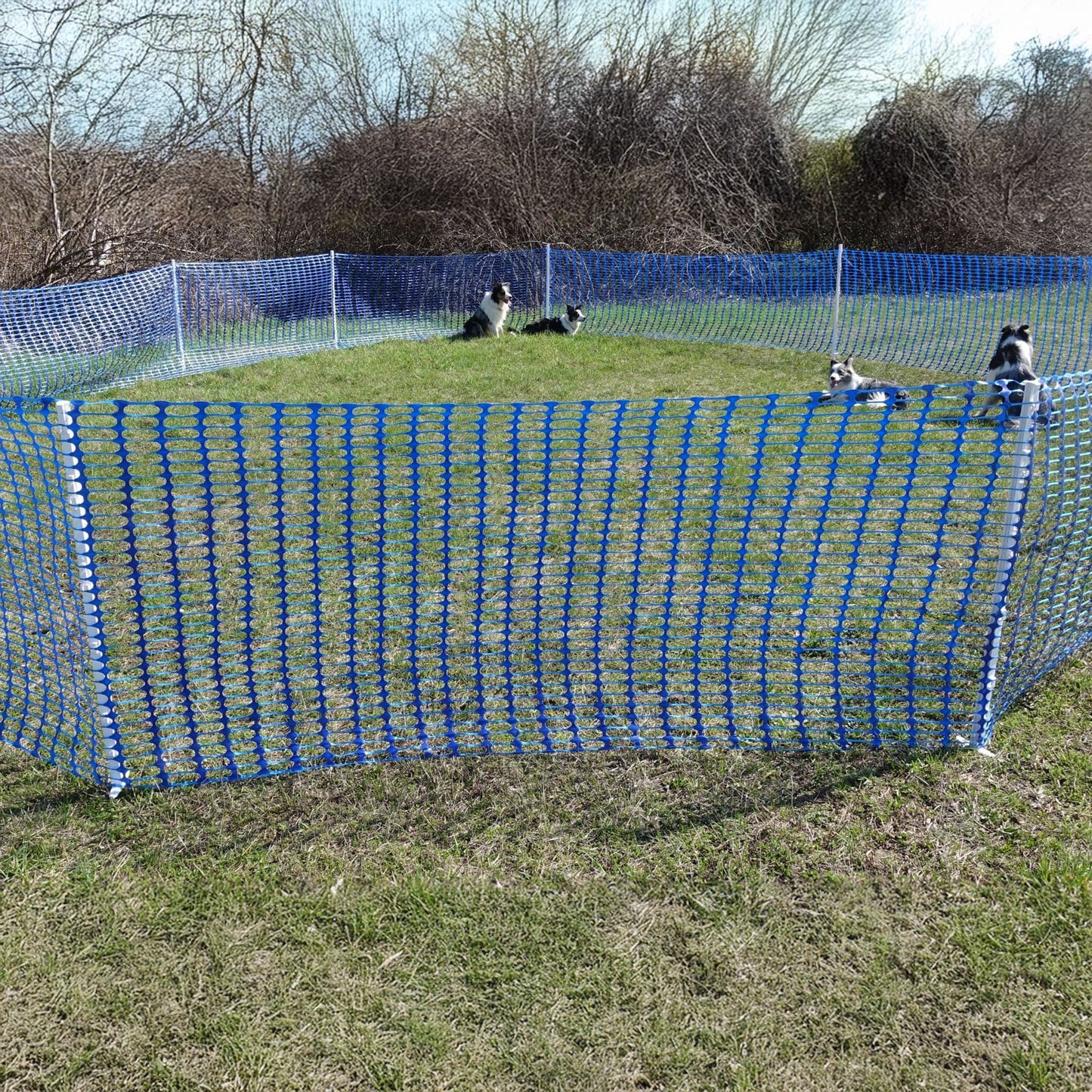 Hundesportzaun – Reißfest & UV-beständig, 30–100 m