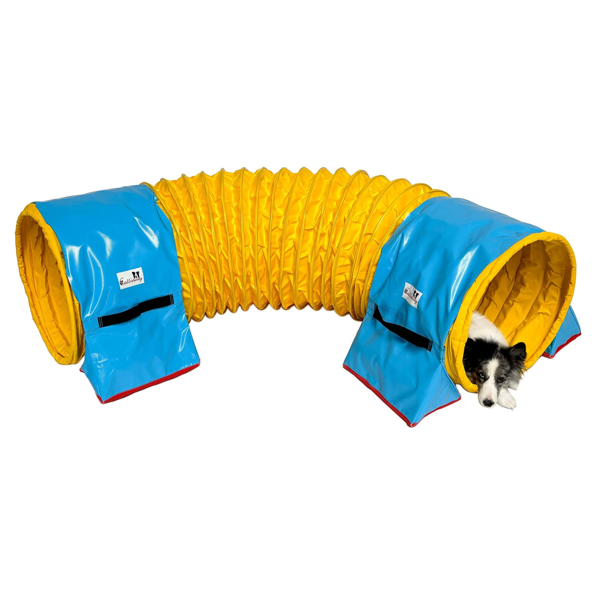 Gebogener Callieway FullGrip Agility Tunnel im Training