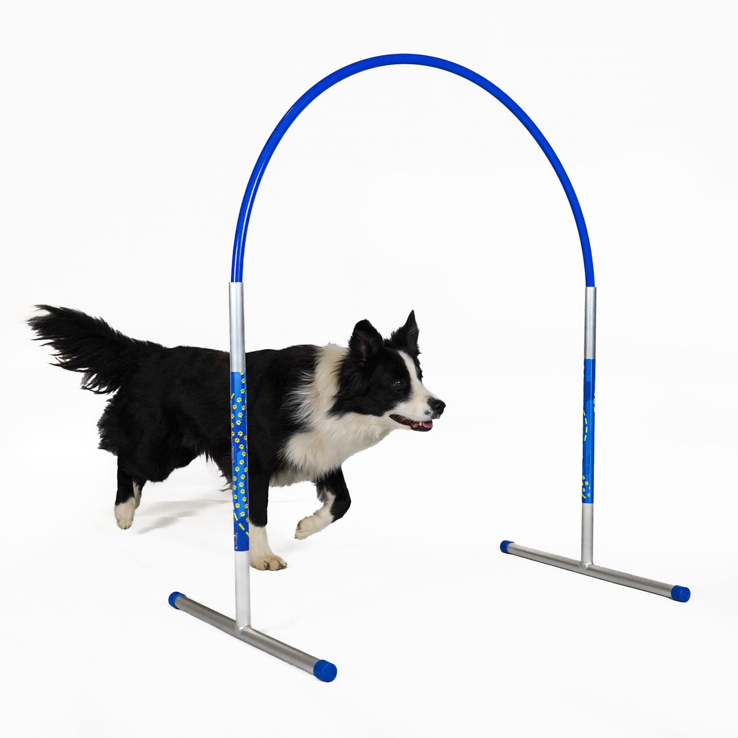 Hund trainiert mit Callieway Hoopers Agility