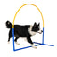 Callieway Fun Hoop Hoopers Hindernis für Hundetraining