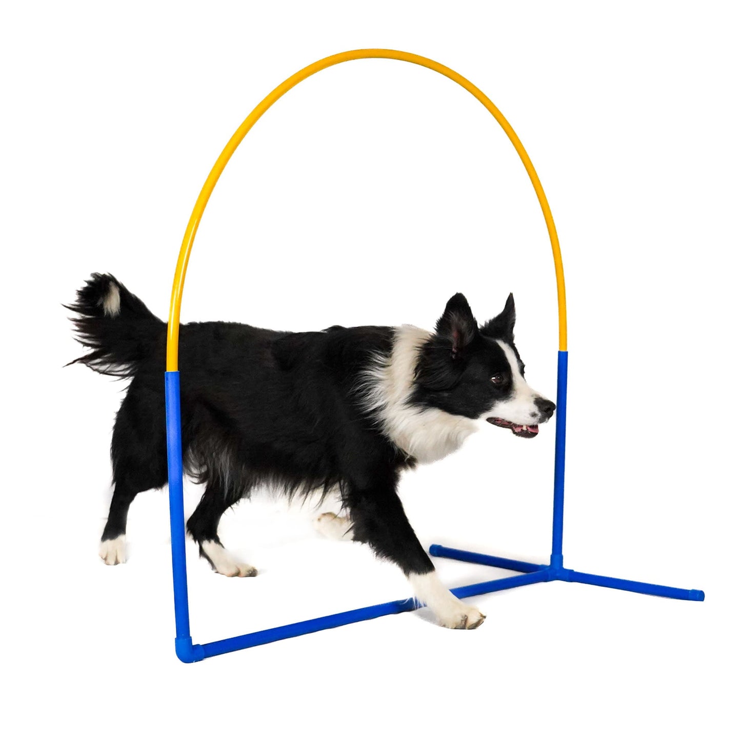 Callieway Fun Hoop Hoopers Hindernis für Hundetraining