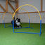 Hund im Hoopers Parcours mit Callieway Fun Hoops Hindernissen