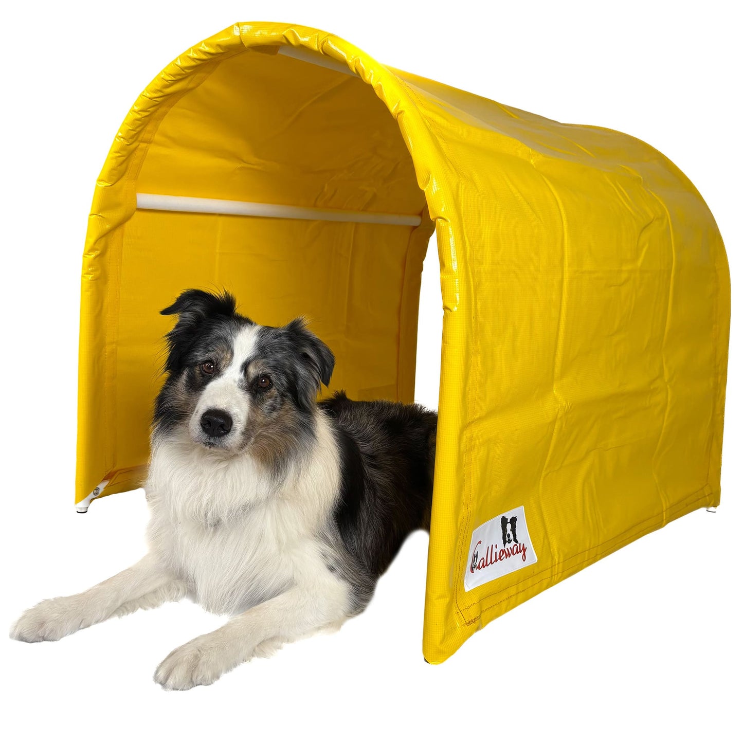 Eingang des Callieway BOLO des Alps II Hoopers Tunnel Gelb