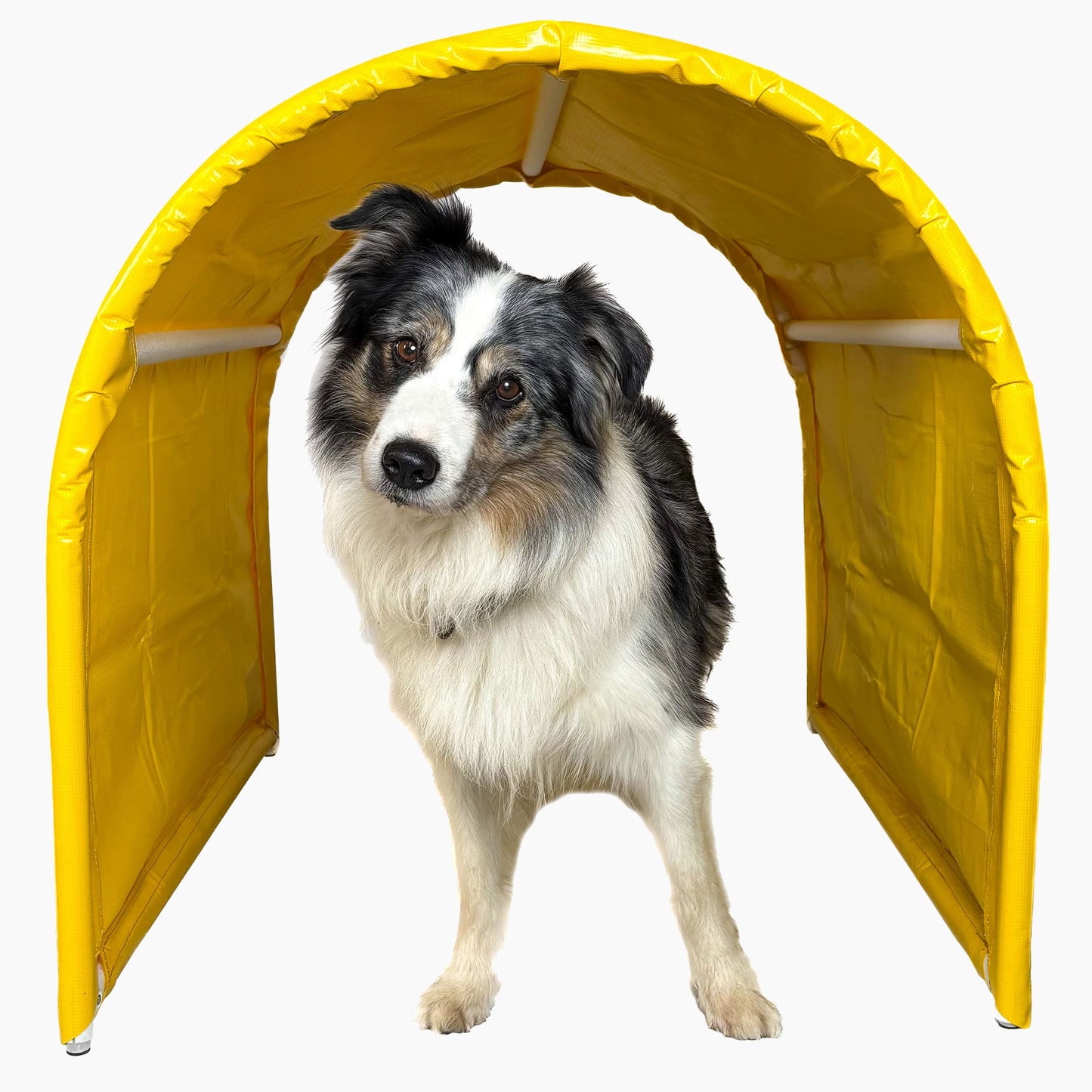 Hoopers Parcours mit Callieway BOLO des Alps II Tunnel Gelb