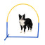 Hund beim Training am Callieway Fun Hoop Hindernis