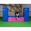 Hund im Agility Training mit Callieway Mauer Hindernis