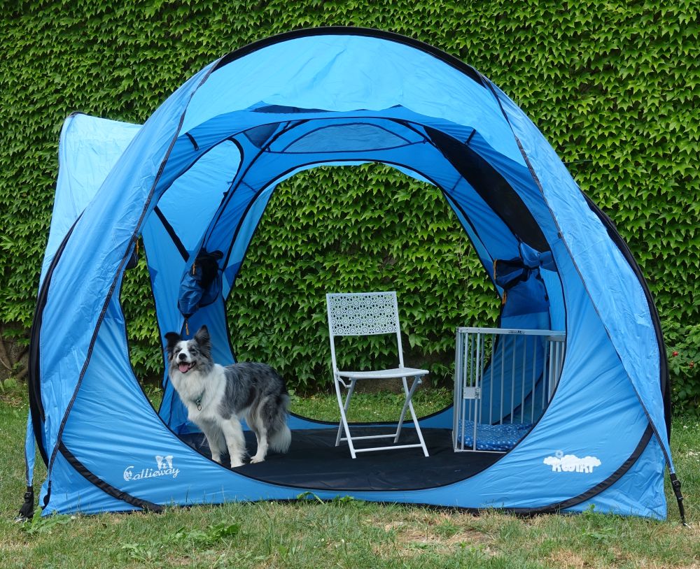 Callieway Kwiki Zelt Ocean Blue vollständig