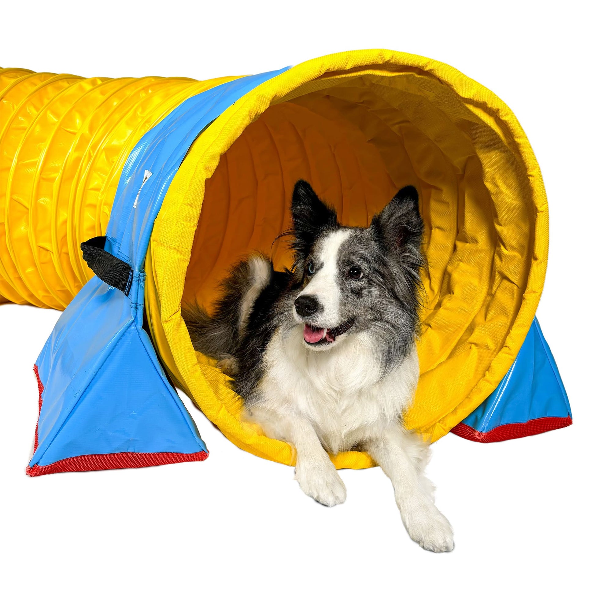 Hund verlässt Callieway FullGrip Agility Tunnel Gelb