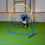 Hund läuft durch Callieway Fun Hoop Hoopers Hindernis im Training