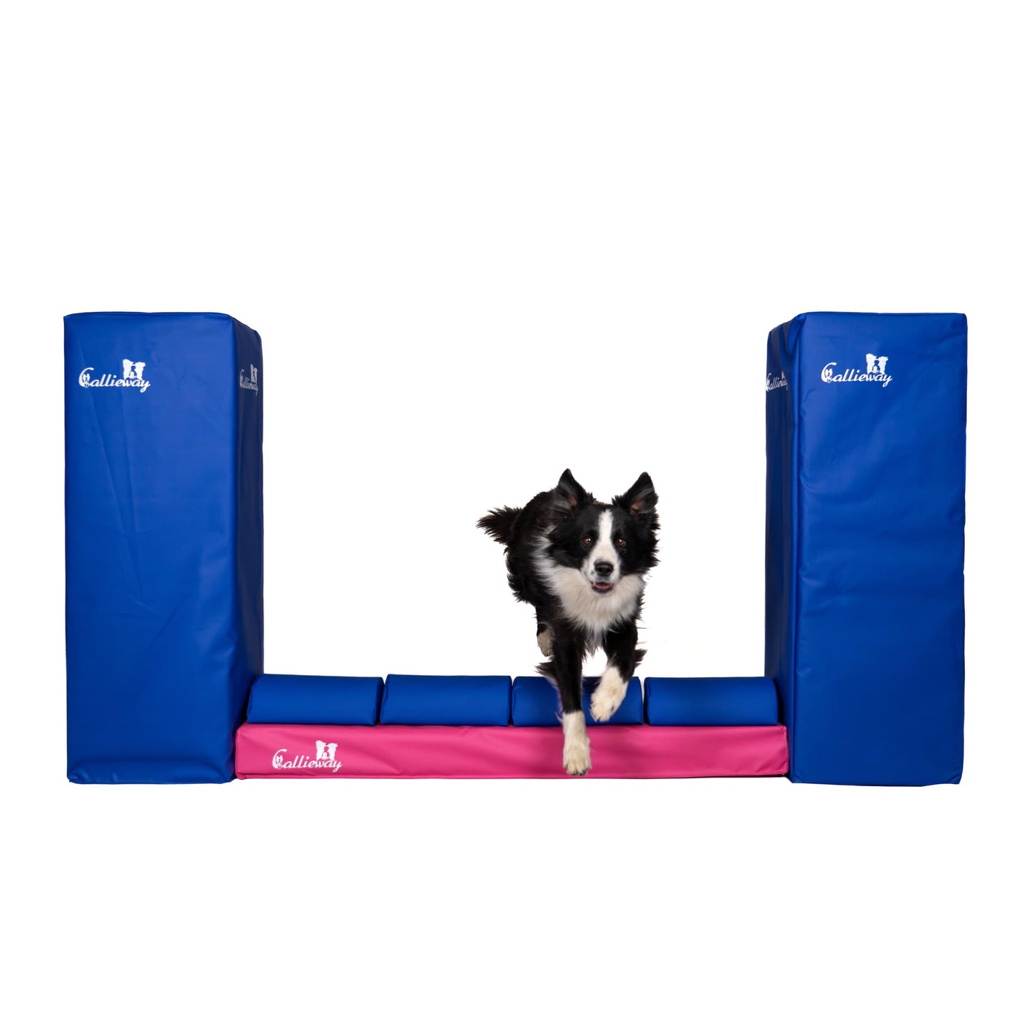 Hund springt über Callieway Agility Mauer Hindernis