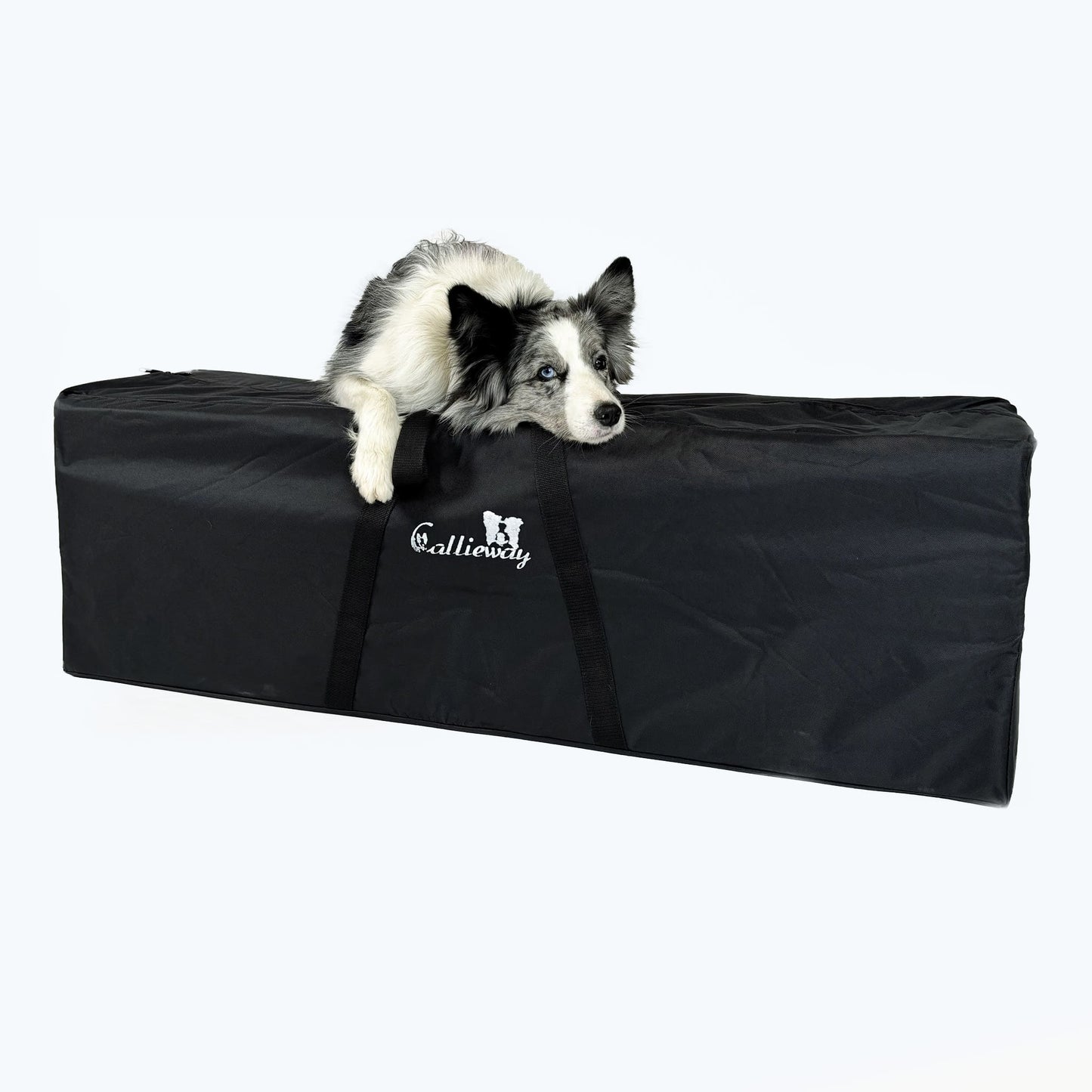 Hund im Training am Callieway Sospiri Agility Weitsprung